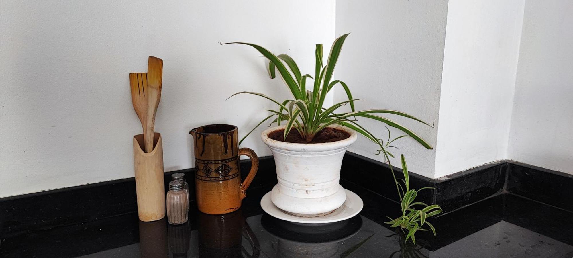 Luxury In Hivernage Marrakech Apartamento